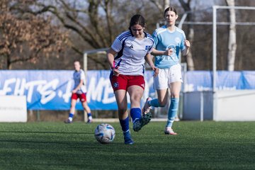 Bild 178 - F Hamburger SV 3 - Blau-Weiss 96 : Ergebnis: 5:1